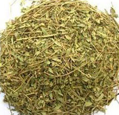 Henna Leaves Manufacturer Supplier Wholesale Exporter Importer Buyer Trader Retailer in Neemuch Madhya Pradesh India